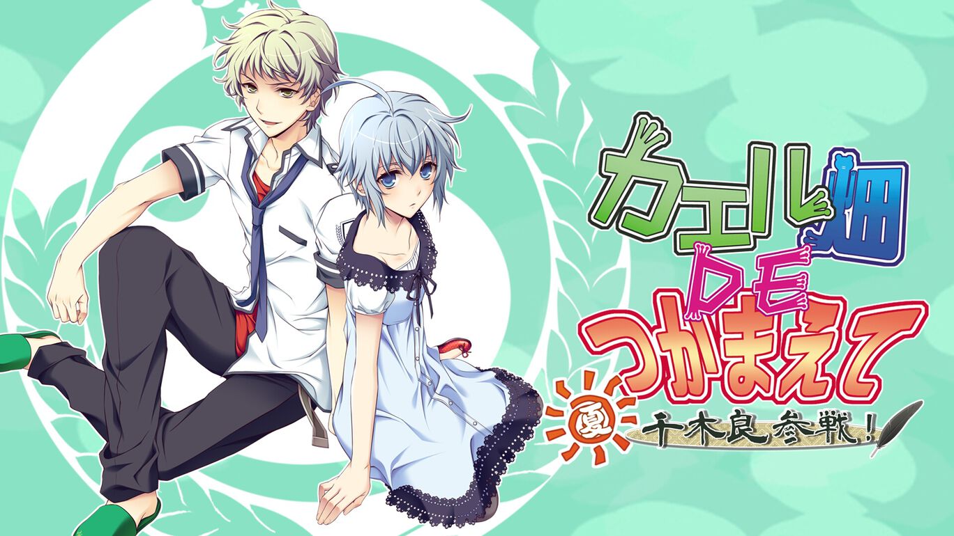 Nintendo Switch版 カエル畑DEつかまえて・夏 千木良参戦！ まとめページ