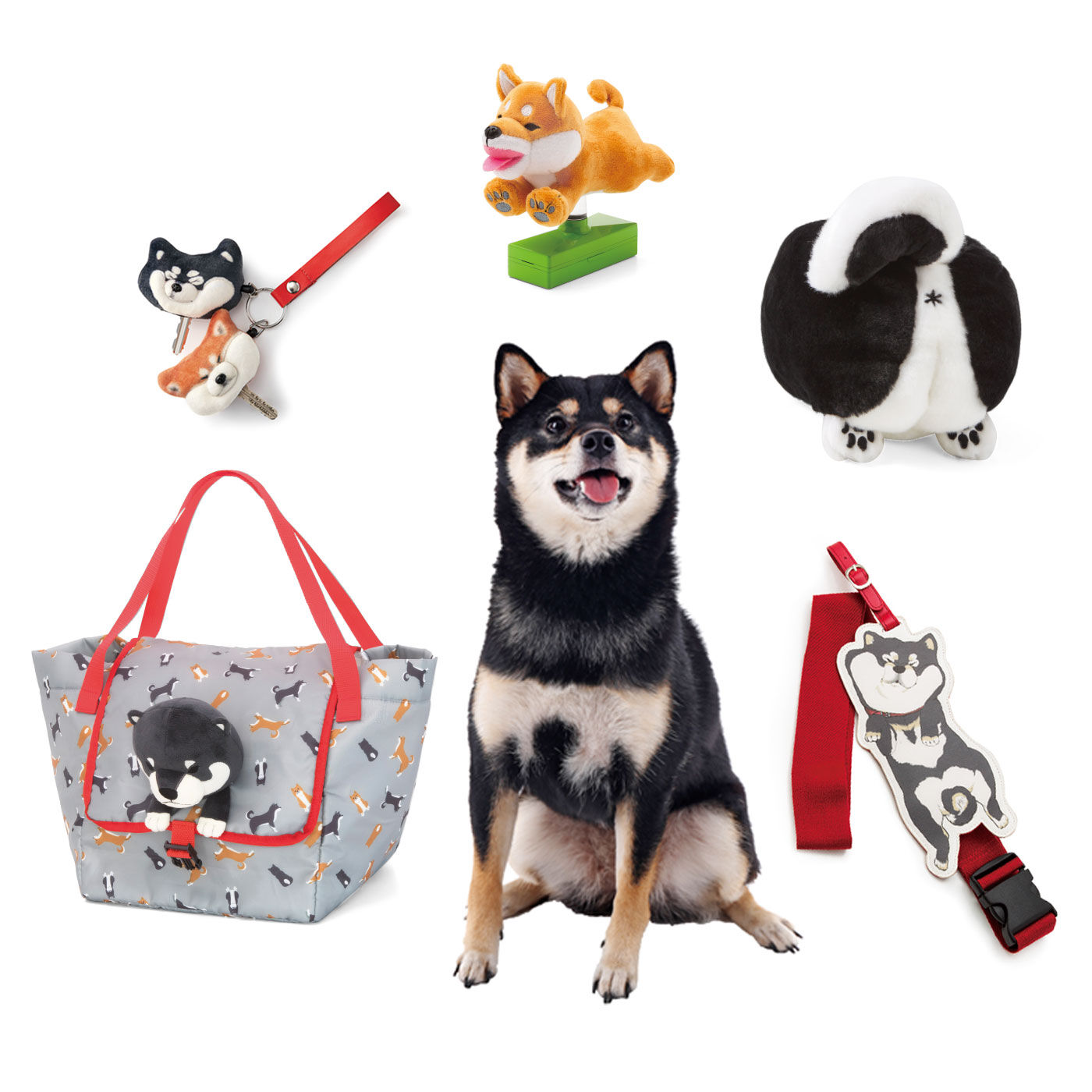 黒いの出ました！忠犬SHIBA BLACK｜WEB限定お買い得商品