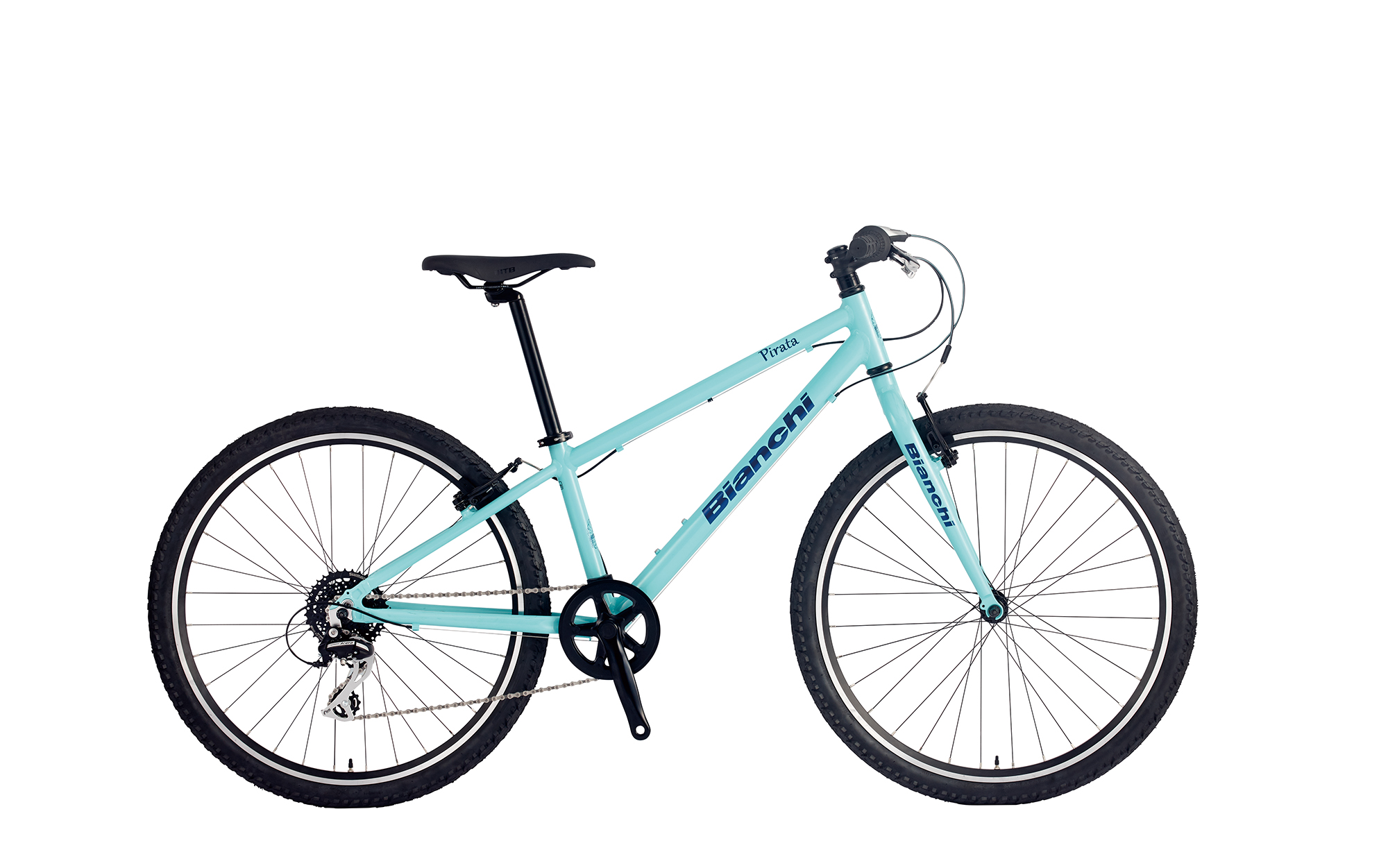 BIKE DETAIL - bianchi