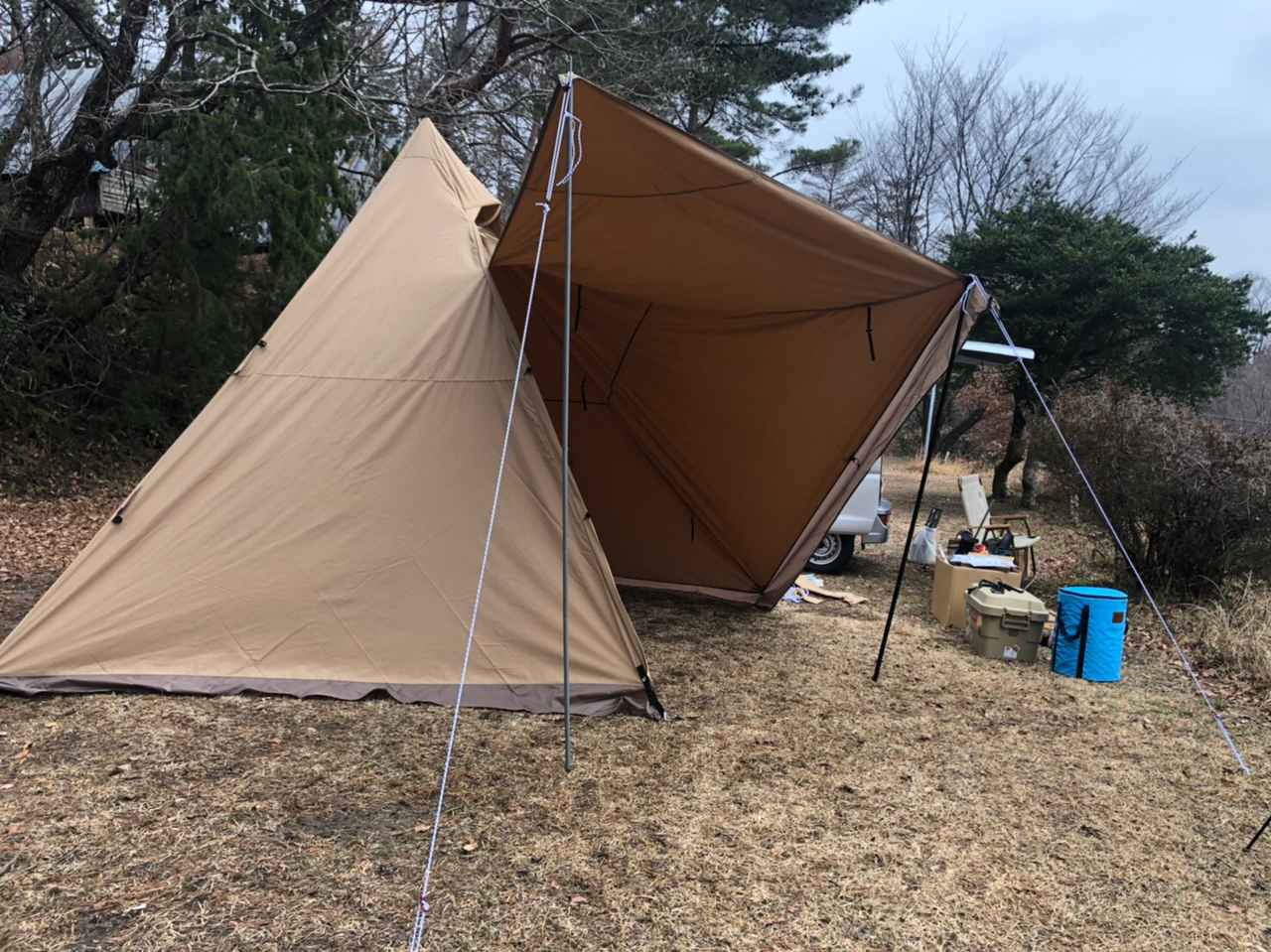 サーカスTCDXを徹底レビュー！実際に使ってわかった5つのポイントを