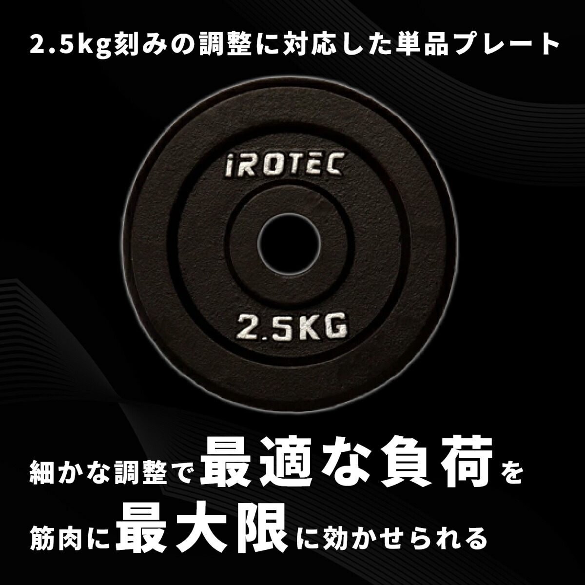 アイアンプレート2.5kg(1枚)【穴径29mm】 IROTEC (アイロテック)