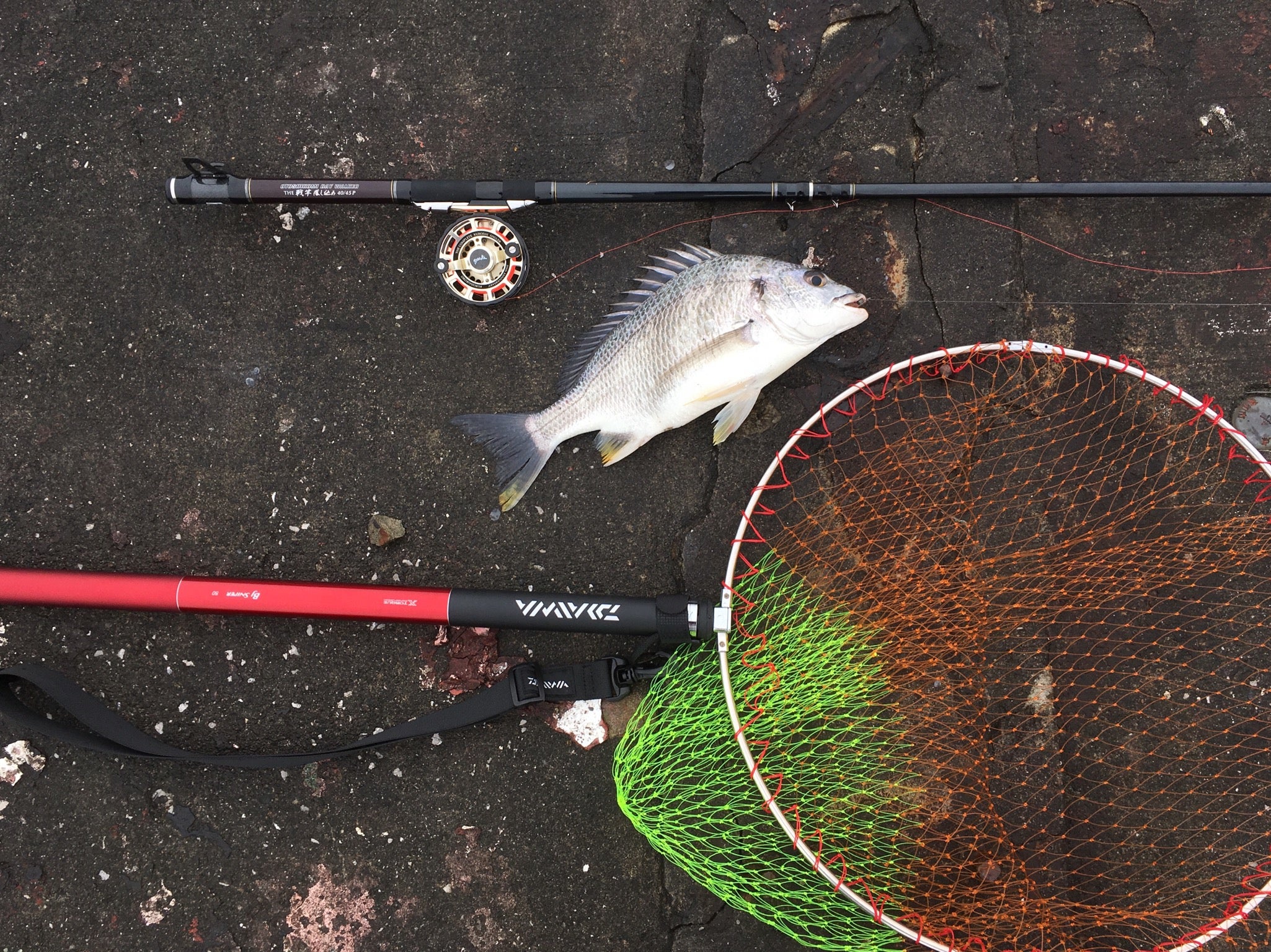 黒鯛工房 チヌ アスリート35/40落とし込み 黒鯛工房 チヌ アスリート35