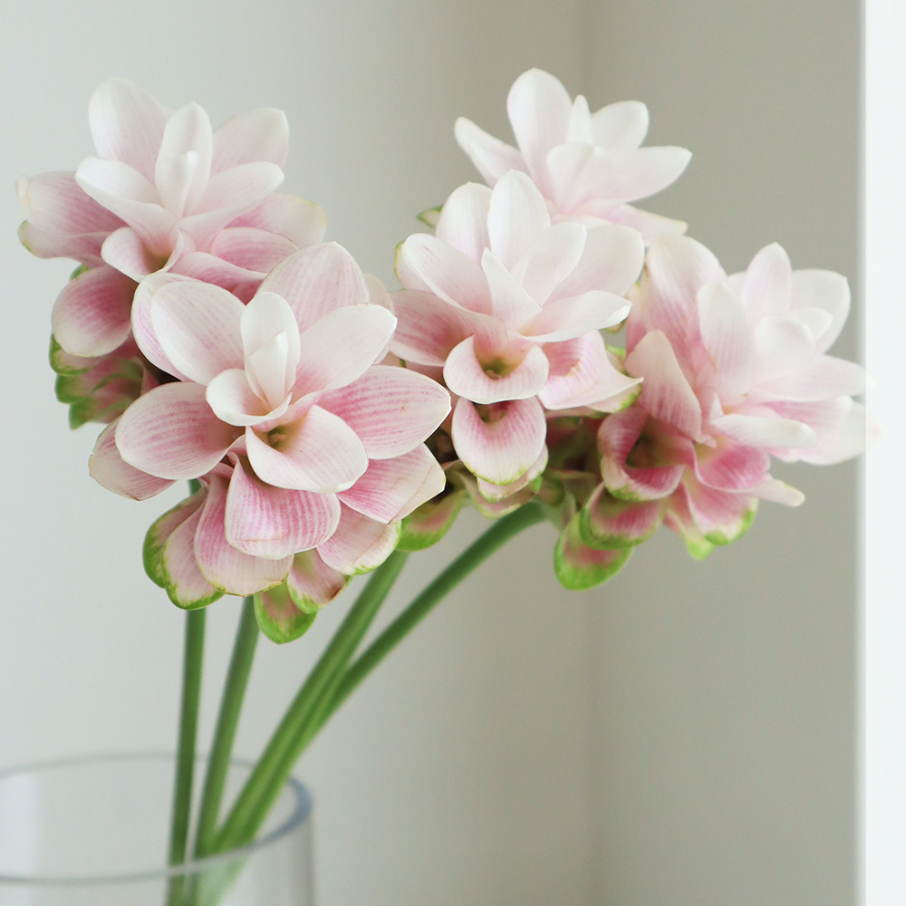 Hsi Chen◇ガラス花どめ アイボリー1個＆ピンク 7個◇オブジェ 要