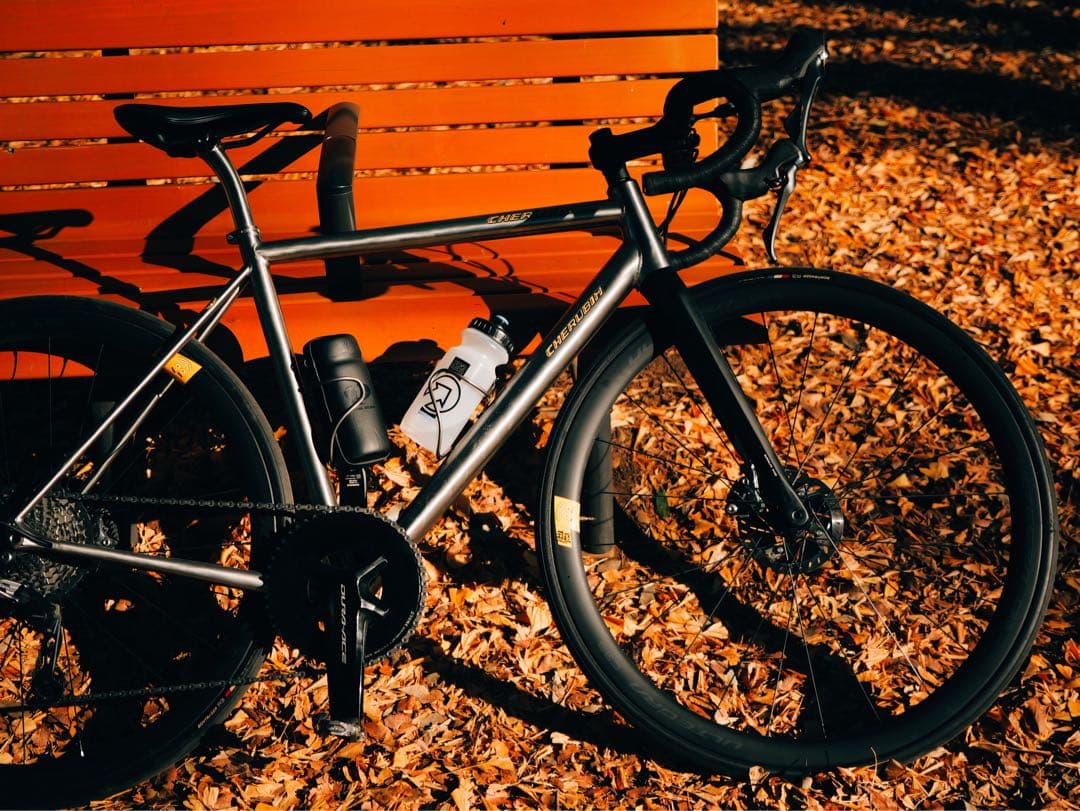 Van Nicholas SK チタンロードバイク 54サイズ ヴァンニコラス ZEPHYR チューブから一貫製作するオランダのチタン工房