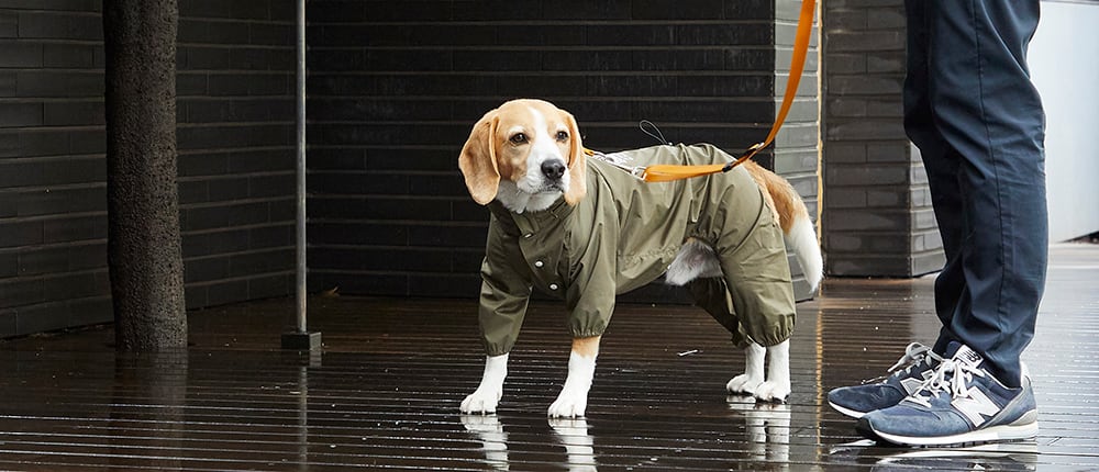 ☔雨の日のお役立ちアイテム☔ | MANDARINE BROTHERS マンダリン