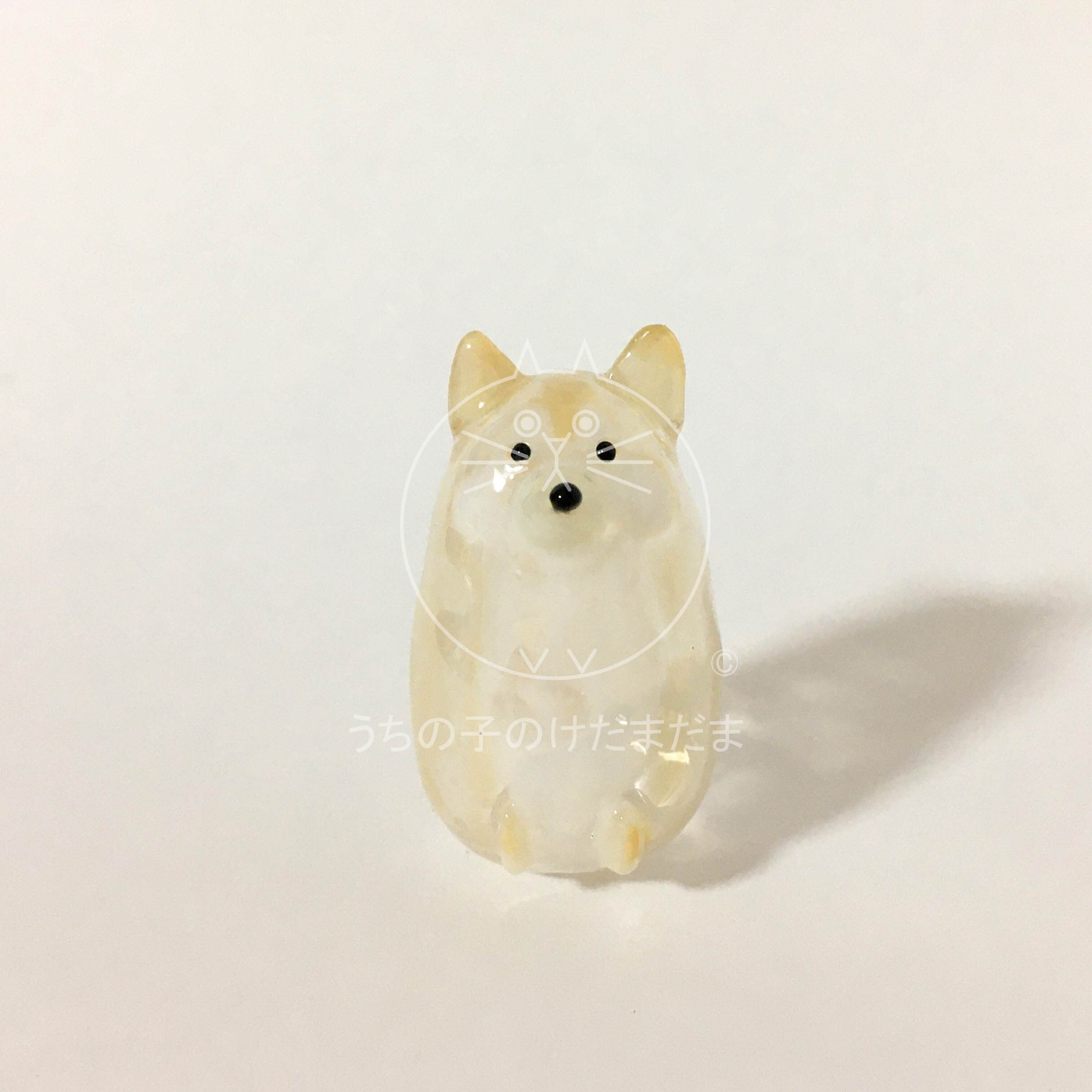 柴犬 | うちの子のけだまだま