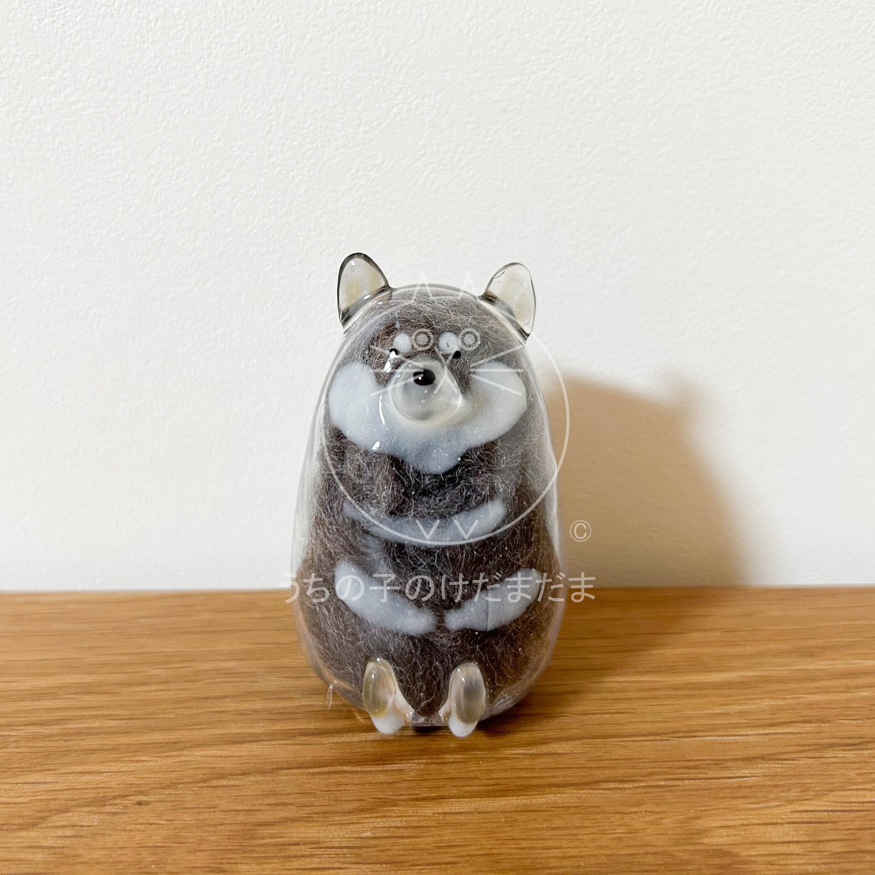 柴犬 | うちの子のけだまだま