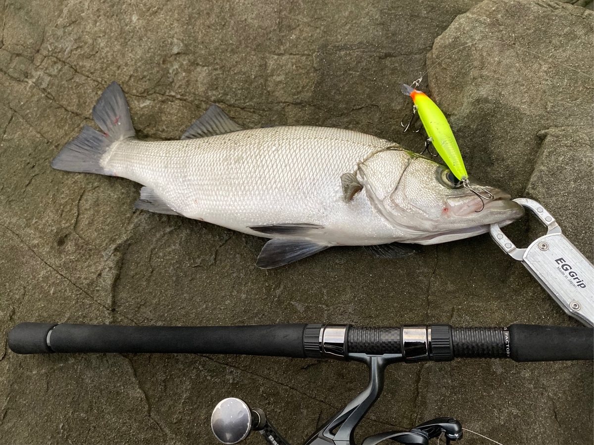 ミッドナイトモンスターMMS-992-TR【インプレ】ナイトリバービッグワン