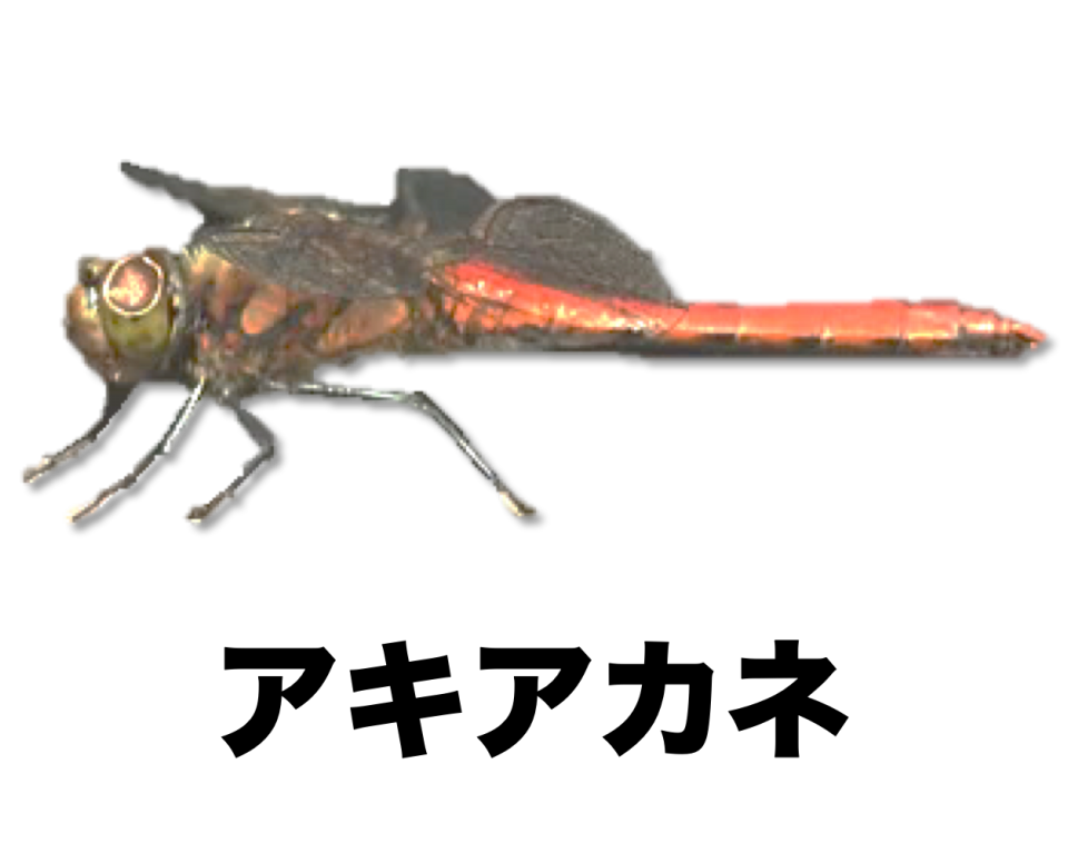 8ecfa04b39b656f74bdac37c89d348